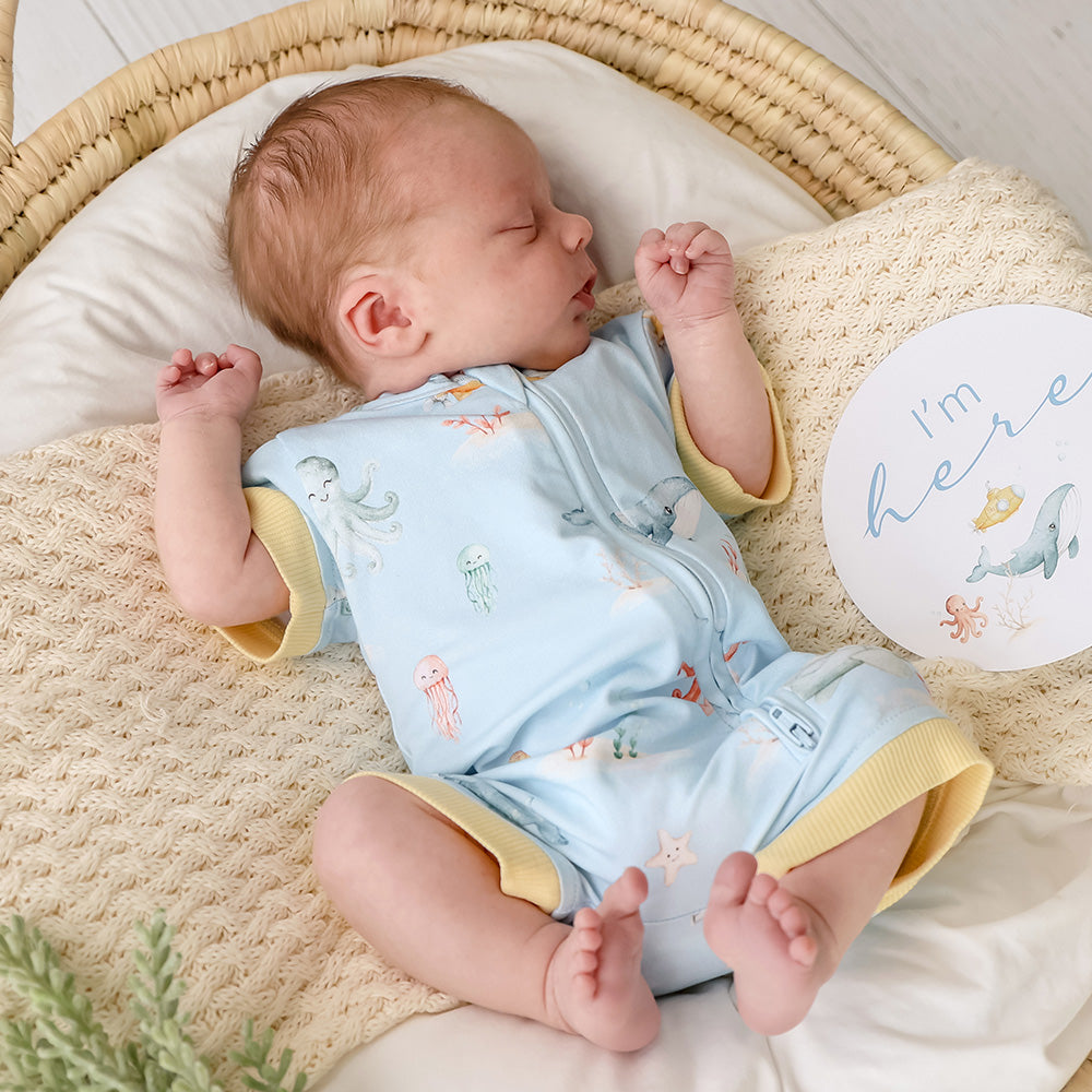 Blue Little Subs Organic Snuggle Shortie - View 16
