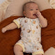 Bumblebees Organic Snuggle Shortie - Thumbnail 15