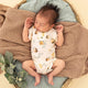 Bumblebees Short Sleeve Organic Bodysuit - Thumbnail 9