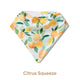 Organic Dribble Bib 2 Pack - Pick Your Prints - Thumbnail 10