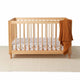 Dino Organic Fitted Cot Sheet - Thumbnail 4
