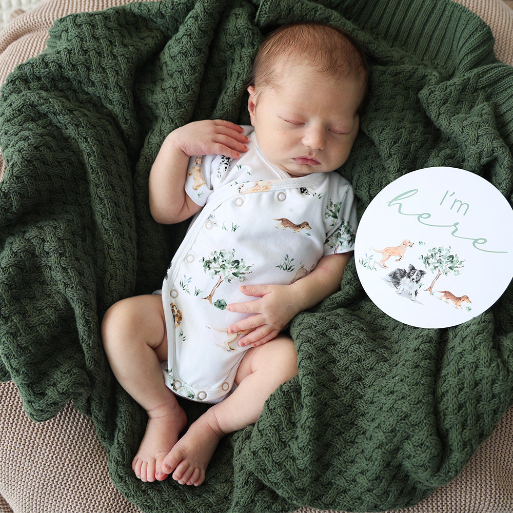 Dog Park Short Sleeve Organic Kimono Bodysuit - View 10