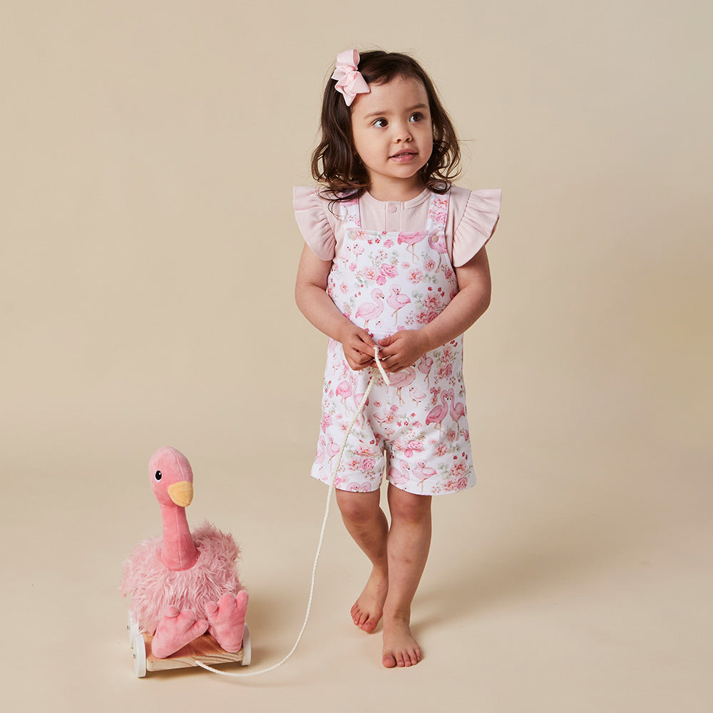 Flamingos Organic Snuggle Overall Shorts - View 11