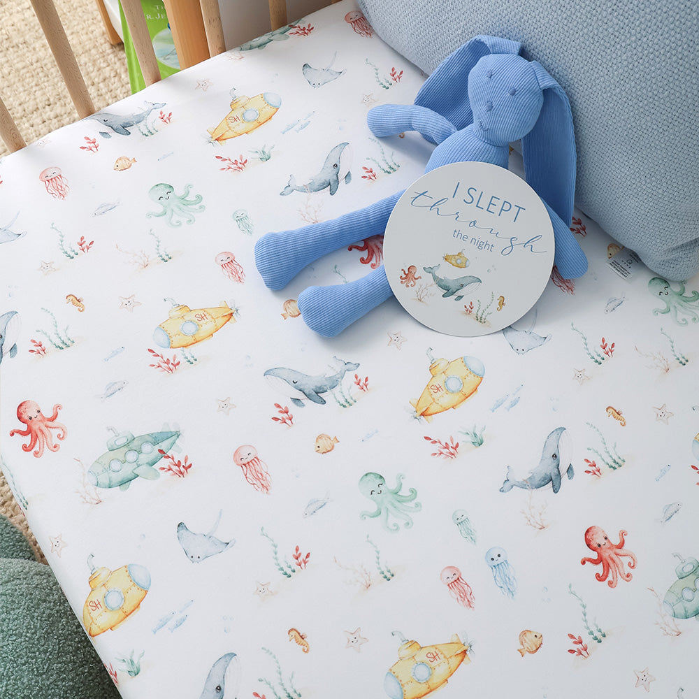 Little Subs & Aqua Reversible Milestone Cards - View 4