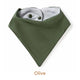 Organic Dribble Bib 2 Pack - Pick Your Prints - Thumbnail 30