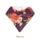 Organic Dribble Bib 2 Pack - Pick Your Prints - Thumbnail 33