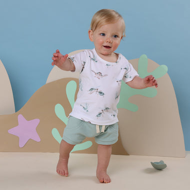 Toddler wearing Turtle Organic T-Shirt | Snuggle Hunny