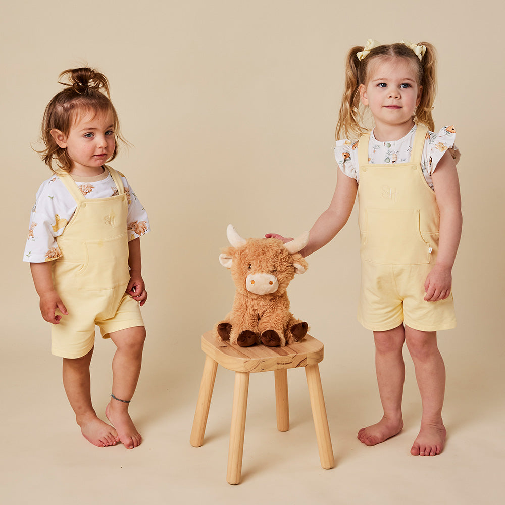 Sunlight Organic Joey Overall Shorts - View 5
