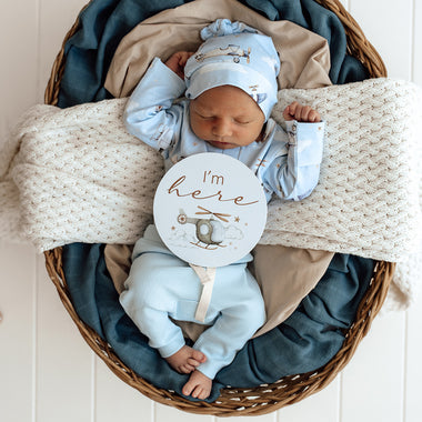 Taking Flight & Pebble Reversible Milestone Cards | Snuggle Hunny