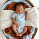 Taking Flight Short Sleeve Organic Bodysuit - Thumbnail 8