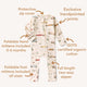 Vintage Cars Organic Snugglesuit Convertible Romper - Thumbnail 7